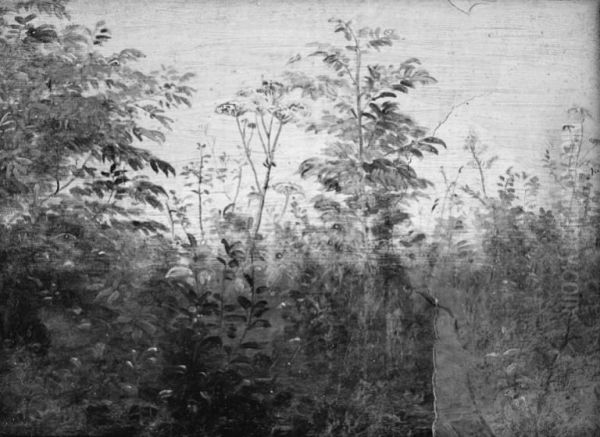 Foreground Study - view 1