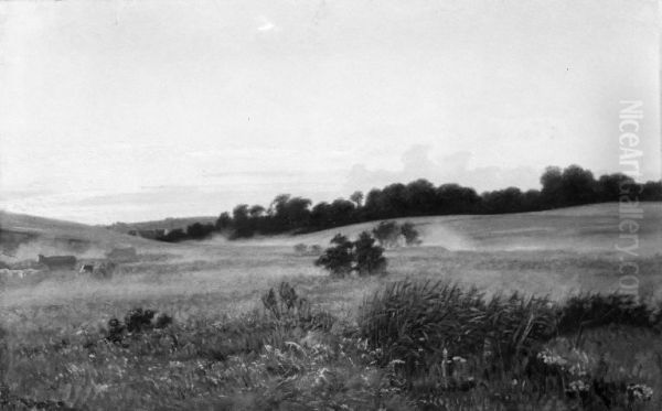 Evening Landscape - view 1