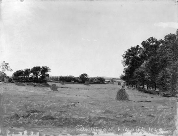 Landscape near the Manor of Dortheaslyst - view 1