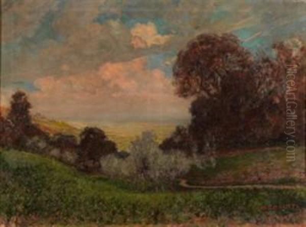 Augusto Pinerolo - view 1