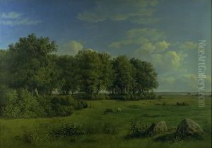 The Island of Brandso with Wedellsborg Forest, Funen, in the Distance