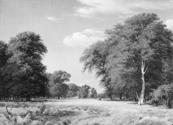 A Summer's Day in the Jaegersborg Deer Park, North of Copenhagen - view 1