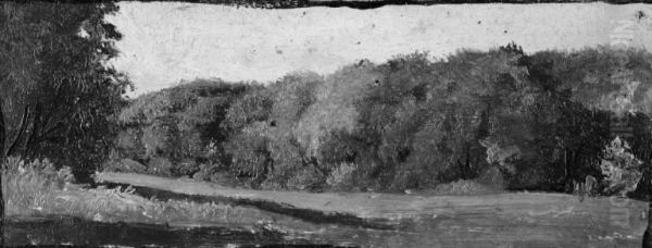 The Fringe of a Wood - view 1