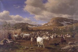 A reindeer herd is driven to the milking parlor. Motif from the high mountains north of Roros