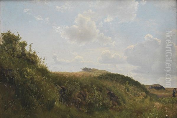Junidag ved Rorvig - view 1