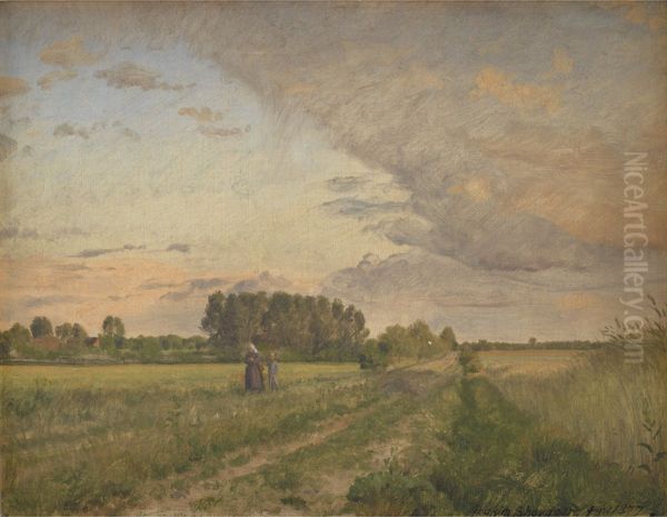Landscape in summer. - view 1