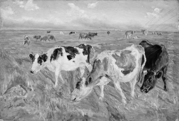 Grazing Cows on the Island of Saltholm - view 1