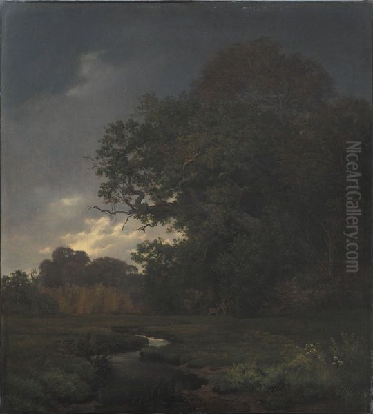 Landscape in Cloudy Weather. Late Afternoon - view 1