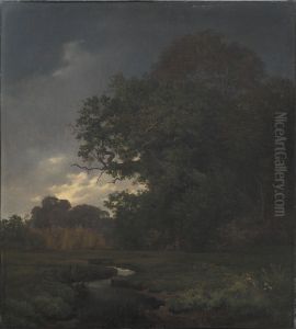 Landscape in Cloudy Weather. Late Afternoon