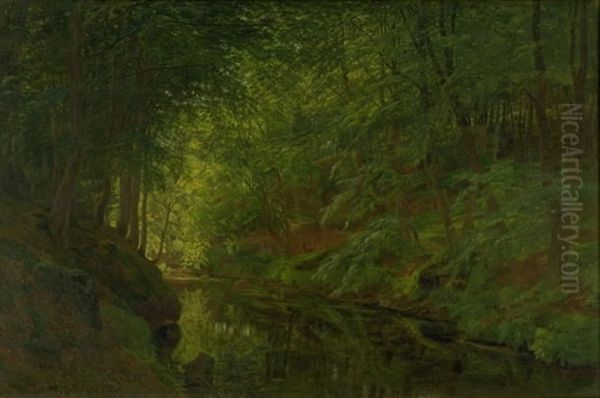 A Brook in Saebygaard Wood, Vendsyssel, Jutland - view 1