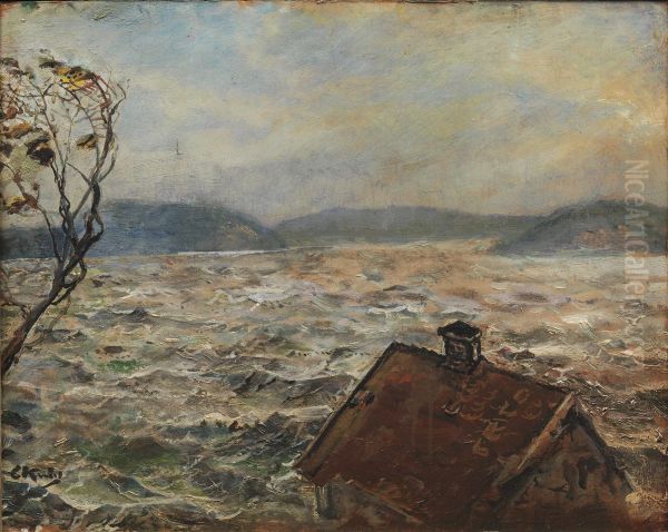 Udsigt fra Bjelkeviken - view 1