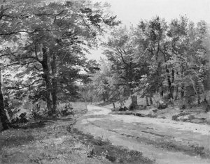 A Road in a Forest A Road in a Forest