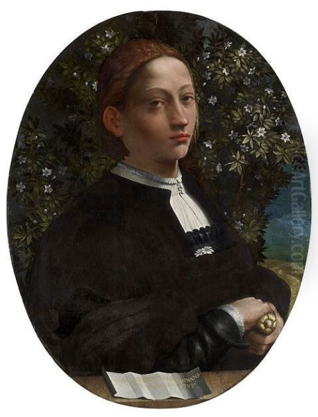 Portrait of a Youth - view 1