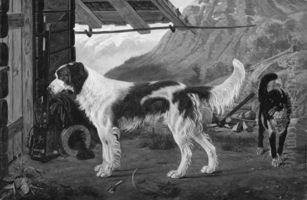 To hunde i et bjerglandskab - view 1