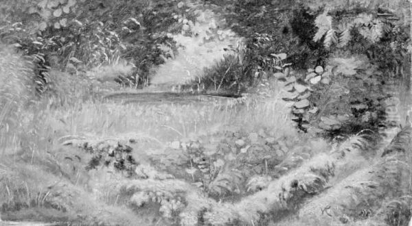 Woodland Lake - view 1
