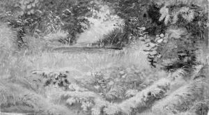 Woodland Lake Woodland Lake
