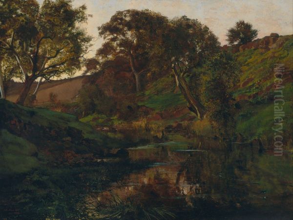 Evening, Merri Creek - view 1