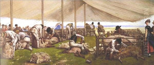 A Sheep-Shearing Match. - view 1