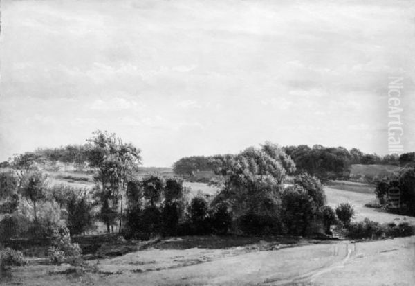 View near Rugaard, Funen - view 1