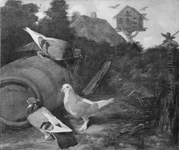Three Pigeons - view 1