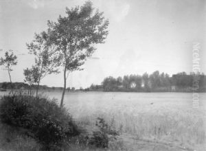 Juniaften. Landskab ved Rorvig