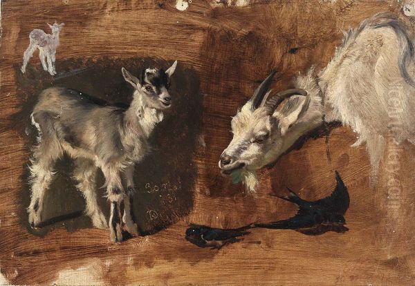 Goats - view 1