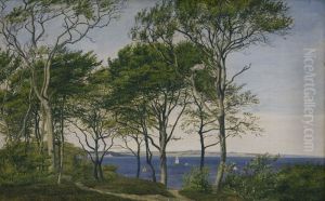 View Through Beech Trees Across a Fiord View Through Beech Trees Across a Fiord