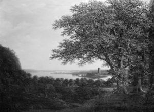 The Ruins of Stegeborg Castle near Vettern in Eastern Gotland by Carl Johan Fahlcrantz