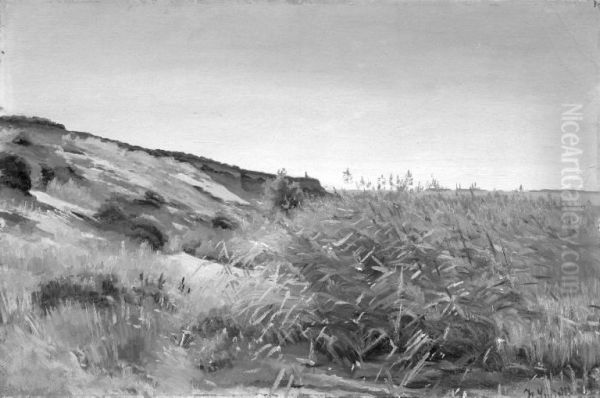 Dunes and Rushes - view 1