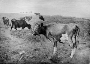 Koer i tojr by Theodor Esbern Philipsen