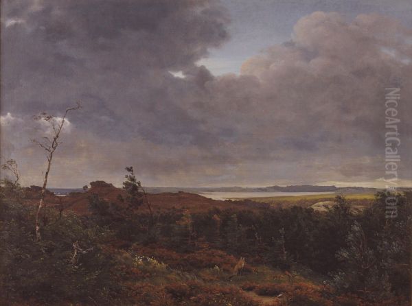 View of Frederiksvaerk from Tisvilde Wood, North Zealand - view 1