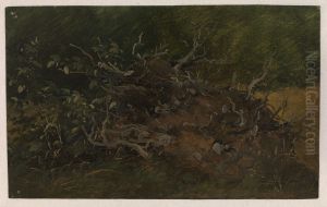 Study of a Tree Stump by Vilhelm Peter Carl Petersen