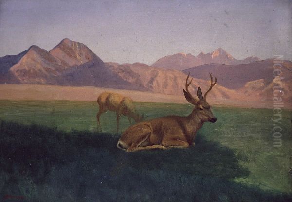Deer - view 1