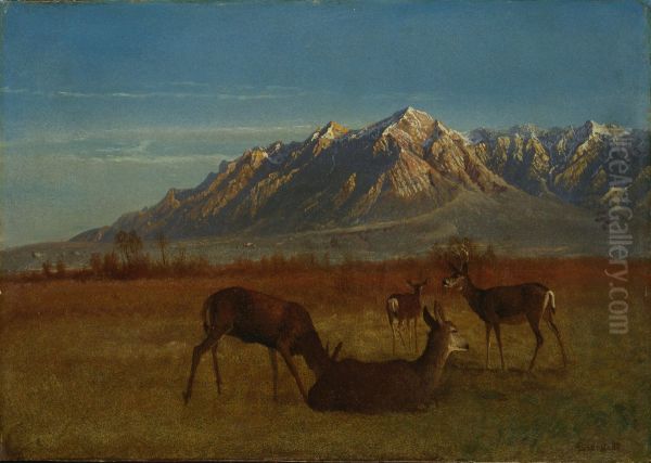Deer in Mountain Home - view 1
