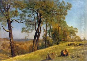 "Landscape, Rockland County, California" "Landscape, Rockland County, California"