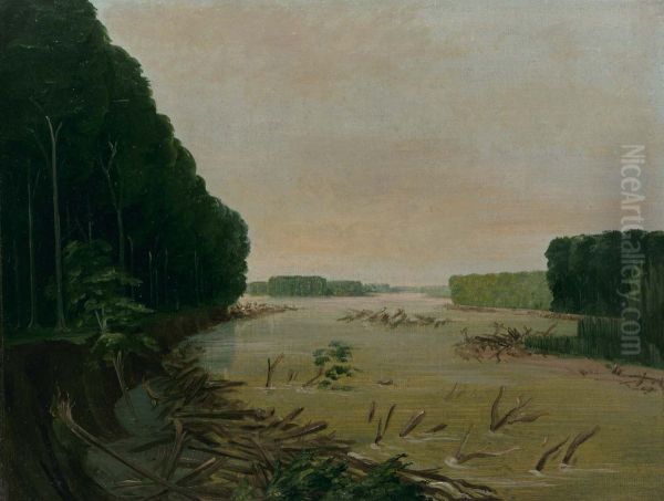 View on the Missouri, Alluvial Banks Falling in, 600 Miles above St. Louis - view 1