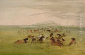 Wild Horses at Play by George Catlin