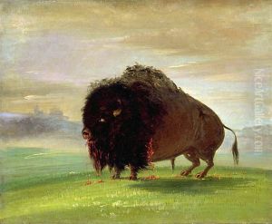 Wounded Buffalo, Strewing His Blood over the Prairies Wounded Buffalo, Strewing His Blood over the Prairies