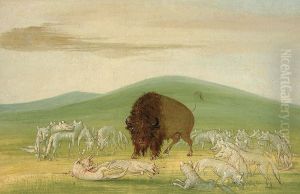 Wounded Buffalo Bull Surrounded by White Wolves by George Catlin