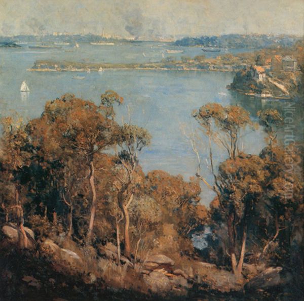 Sydney Harbour - view 1