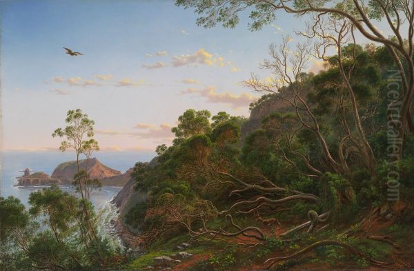 Tea Trees near Cape Schanck, Victoria - view 1