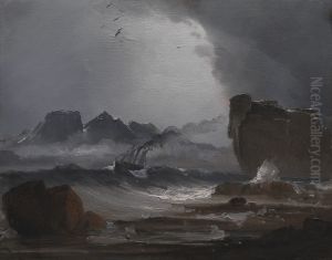 Oprort hav med et dampskib naer den norske kyst Oprort hav med et dampskib naer den norske kyst