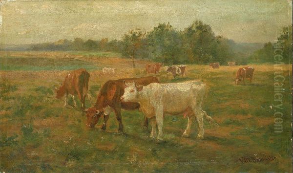 Cows - view 1