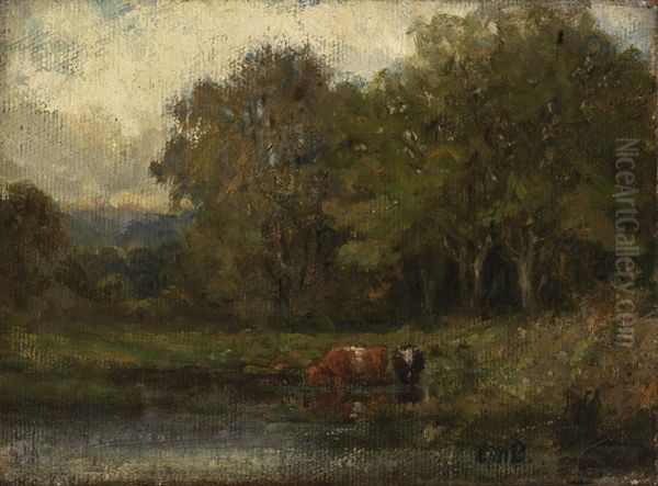 Landscape - view 1