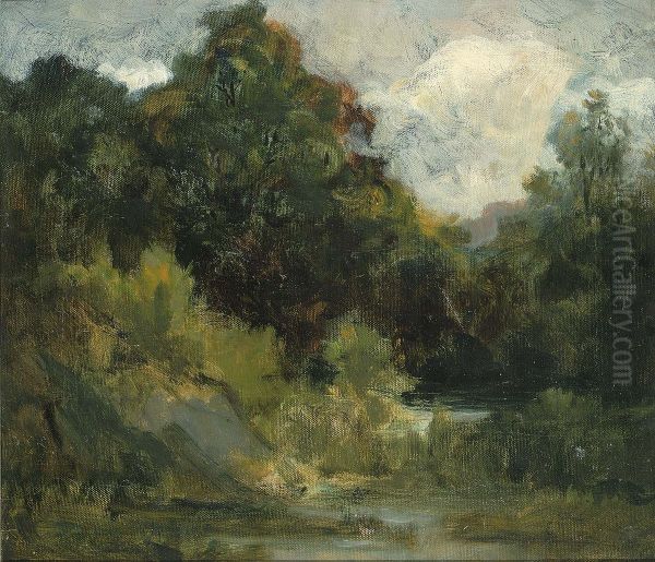 Landscape (trees) - view 1