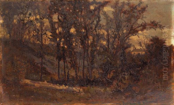 Untitled (forest scene, fallen tree in foreground and house in background) - view 1