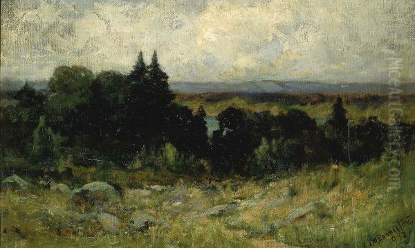 Untitled (landscape, fields with rocks and trees) - view 1
