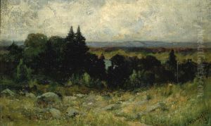 Untitled (landscape, fields with rocks and trees) Untitled (landscape, fields with rocks and trees)