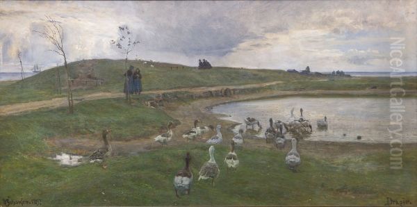 Geese by a lake. Worsening weather. Dragor - view 1
