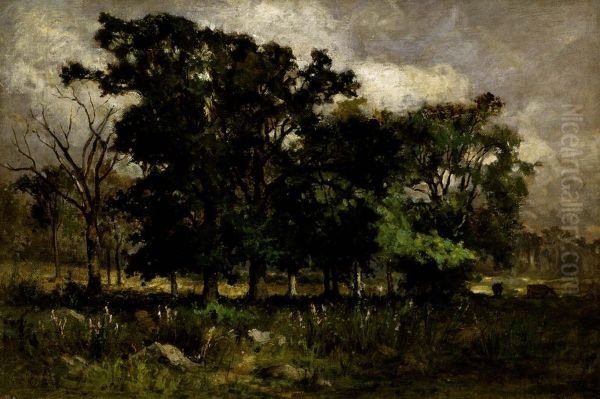Tree Landscape - view 1